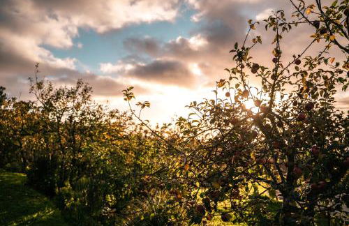 Casas da Levada - Foto 100