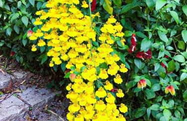 Loft Aconchegante em Meio à Natureza - Foto 54