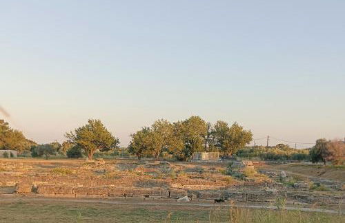 Maki'shouse - Foto 17