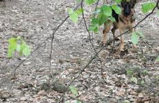 Ferienwohnung Panoramablick Postwiese - Foto 29