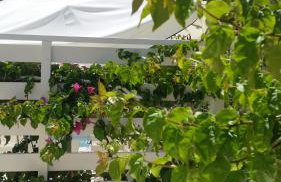 Antonios Apartments - Foto 36