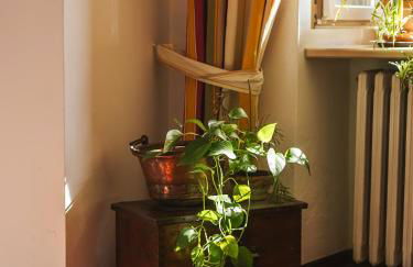 Corte L'Ovo - Historic Country House 15 min from the heart of Verona - Foto 22