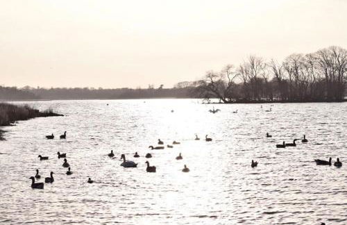 Potts House - Hornsea on the Yorkshire coast - Foto 56