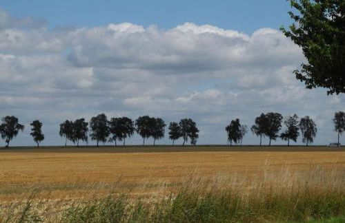 Häuschen über der Lanke - Photo 23