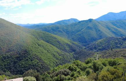 Le Châtaignier - Foto 17