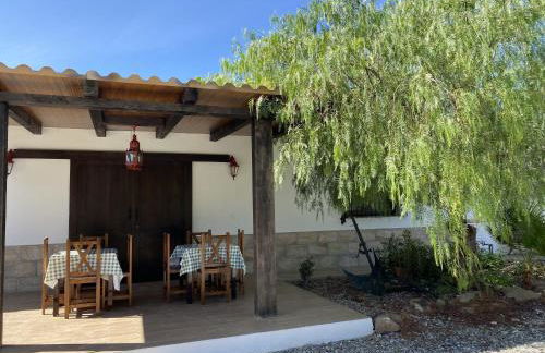 LAS PALMERAS - Foto 74