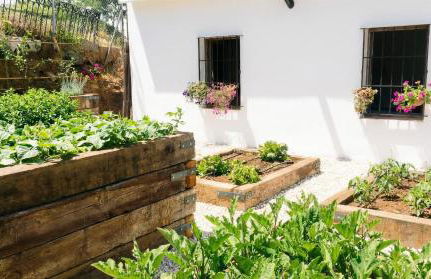 La Escribana - Photo 44