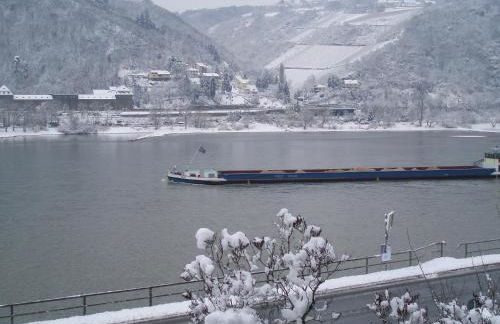 Weingut Nies - Foto 46