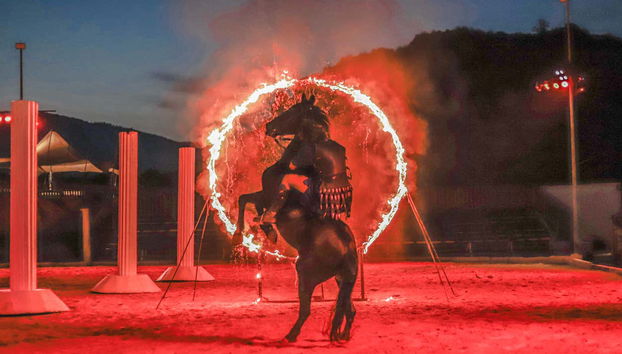 Ticket to Gran Circus Maximus Show with Dinner - Foto 3