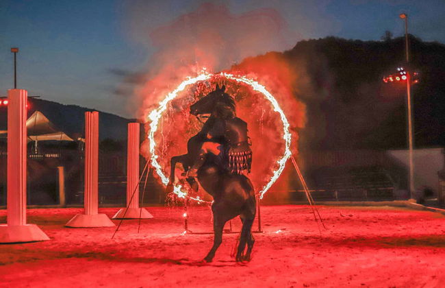 Ingresso do espetáculo Gran Circus Maximus com jantar - Foto 8