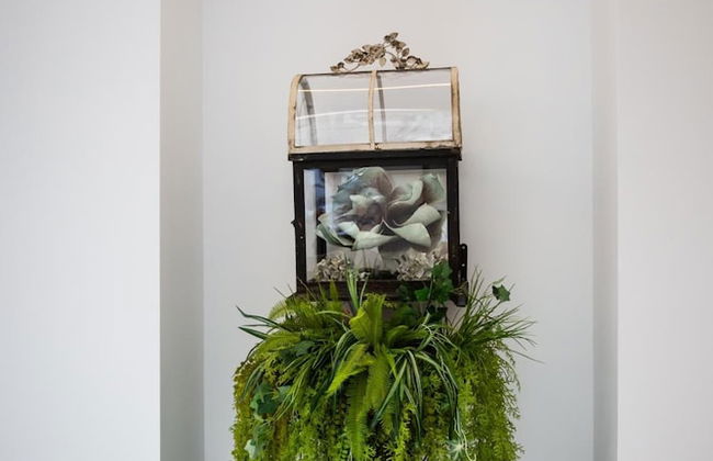 Plazuela del Carbón Suites - Foto 44