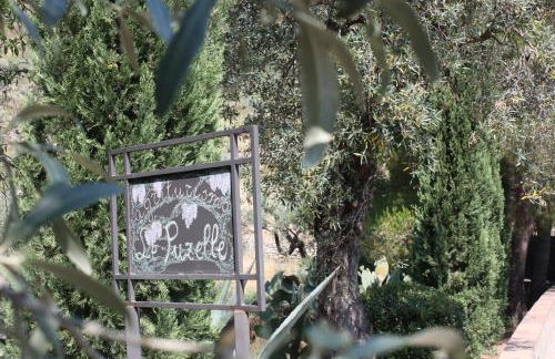 Azienda Agrituristica Le Puzelle - Photo 107