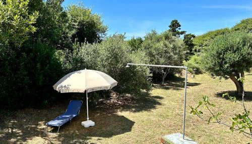 Villa Roseal - Foto 5, Garden, Garden view