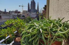 Lovely Appart & Sky View SAGRADA FAMILIA - Photo 19
