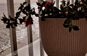 Mariannas tiny paradise - Foto 10