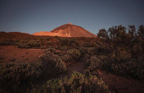 casa mo Tenerife - Foto 30
