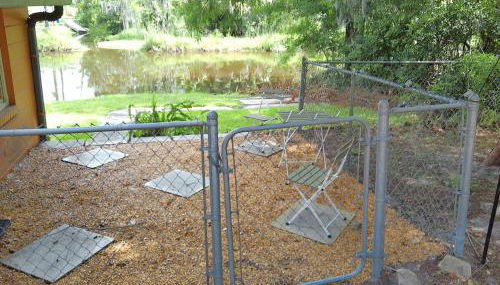 King Bed Creekfront Retreat in Jacksonville - Foto 4