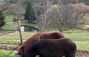Maison pittoresque à Sainte-Croix-aux-Mines, vue sur la montagne - Foto 58