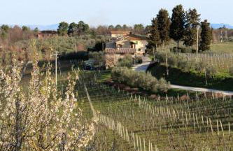 Bencini Family - Foto 19