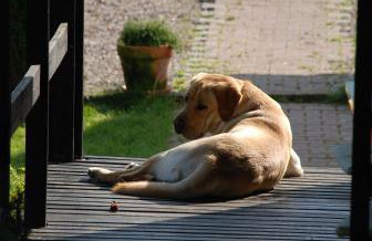 Natura Apartamenty - Foto 70