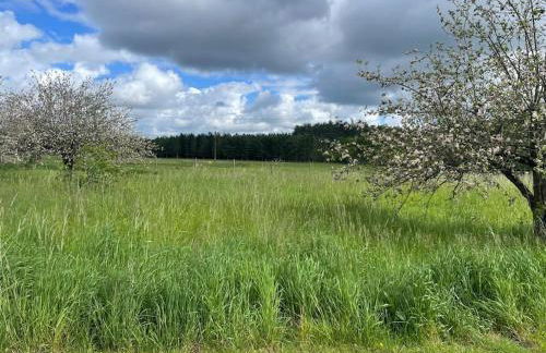 Gîte le village des champs - Foto 8