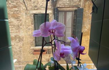 Emma's House - Foto 20