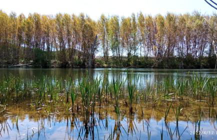 El Guardaviñas, entre Montes y Viñedos - Foto 85