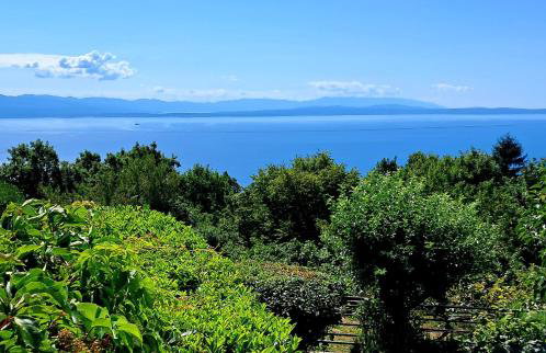 kuca Maria - Foto 41