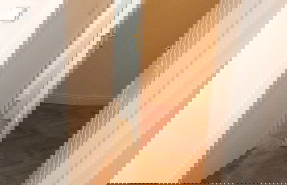 Sobieski Apartments St. Stephen Cathedral - Foto 61