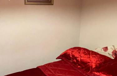 The Bittern - Foto 12