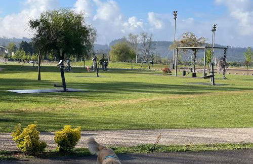 Cantinhos Da Serra e Sopé, Soure - Foto 20