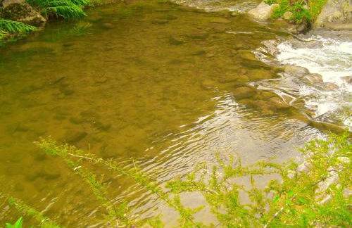 Casa Dell Angelo Apartamentos - Foto 66