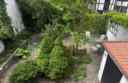 Ferienwohnungen an der Blasiikirche - Foto 60