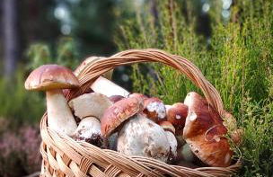 El Chorrón - Foto 42