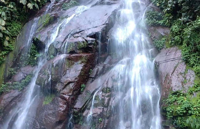 Excursion à Aguaytia - Photo 3