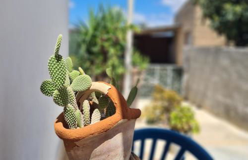 A un Passo dal Tramonto - Foto 35