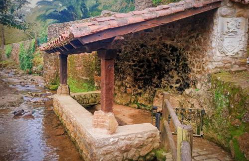 Apartamentos la buganvilla Novales - Foto 45