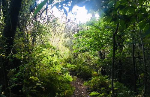 Apartamento El Refugio de Mecina - Foto 5