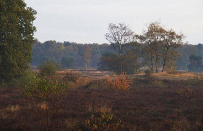 Luxury Villa in De Pier With Sauna - Photo 31