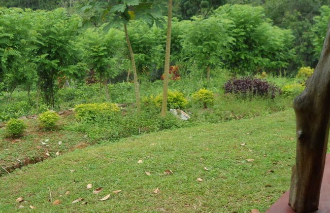 Yoho Rain Forest Eco Lodge - Foto 6