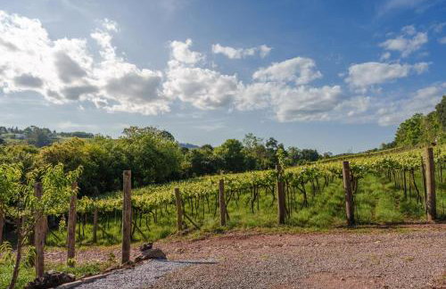 Casa, sítio, aconchegante no Vale dos Vinhedos. - Foto 13
