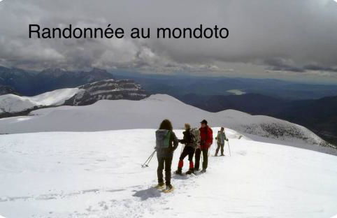 La bergerie Leffler - Foto 34