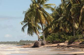 Casa de Condomínio ao lado da Capela de Milagres - Foto 33