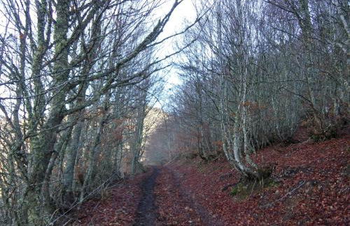 Apartamento Fuente De Somave - Foto 27