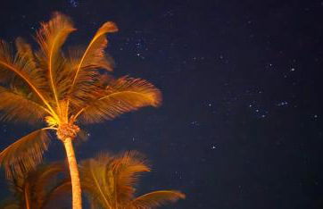 Paradise awaits you at Key Colony Beach - Foto 24