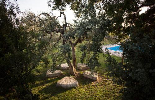 Signor Cesare Agrobistrot B&B - Foto 11