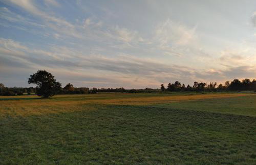 Masuria Warsaw - dom na wyłączność - w lesie i przy rzece - 15 min od Warszawy - Foto 56