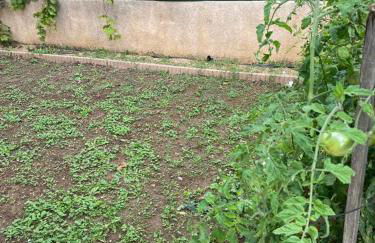 Studio - Carré de Soie Vaulx en Velin - Foto 3