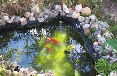 B&B Case Vacanza Orchidea marina di Macchia a Mattinata Gargano - Foto 64