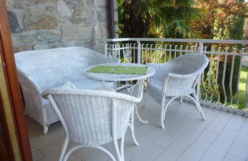 Hermitage mimosa - Photo 15